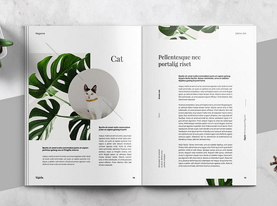 Minimal Magazine Template a4 branding brochure brochure design brochure template catalog clean fashion garden graphic design indesign letter lookbook magazine minimal minimalist modern multipurpose portfolio print