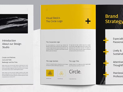 Free Brand Guidelines a4 agency app brand brand identity brandbook bundle business colors company corporate graphic design guide guideline identity manual minimal professional swiss typography