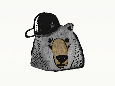 Cool Bear bear björn illustration procreate ursine