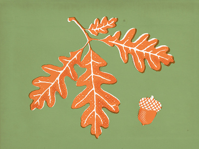 White Oak halftone illustration leaves nature oak vector