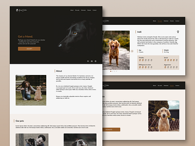 Animal Shelter | Web Design UI animal shelter pets pets shelter ui design web design