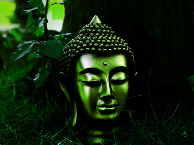 Buddha buddha canon 1300d green nature peace photograhy serene showcase