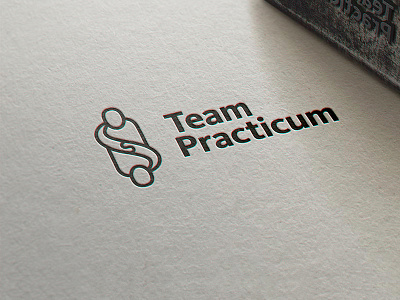 Team Practicum