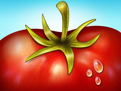 Tomato Result icon tomato