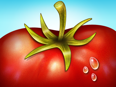 Tomato Result