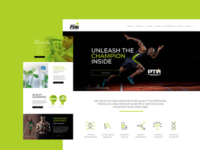 PVM fitness nutrition sports suplements ui website website design