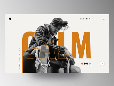 CALM - Figure Isolation design graphic design interface ui website website design
