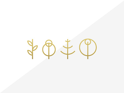 Grow gold growth icon icons life logo logos plants trees