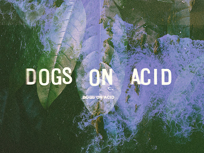 Dogs on Acid S/T album album artwork grain music peter helmis typography vcr