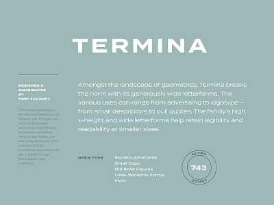 Termina Typeface branding layout type typography warm up