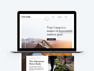 True Camp Homepage brand branding landing logo logo design web web design