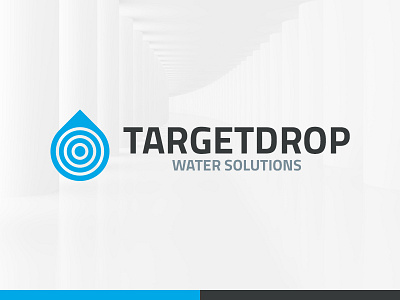 Target Drop Logo Template company drop logo target template vector water