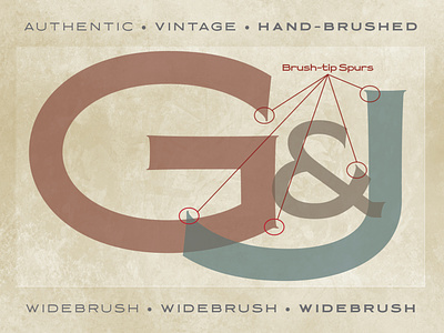 Widebrush Authentic Sign Painter Hand-lettered Font brush font brush lettering brush strokes font font bundle font design hand brushed hand lettered font hand lettering lettering lettering brush sign sign font sign painter vintage vintage font