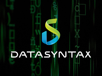 DataSyntax analitycs app branding design develop development game information technology internet it logo mobile web