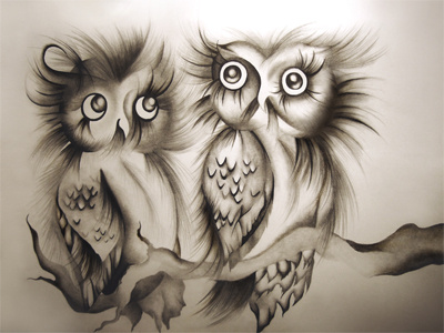 Pretty Perching art childrens drawing illustration owls sketch