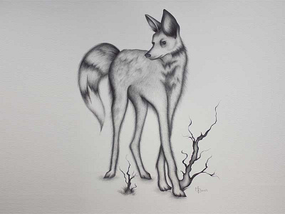'Grace in Greys' - animal illustration animal blackandwhite drawing fox illustration sketch tree wolf