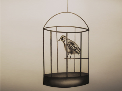 Bird to the Wise bird black and white cage drawing fine art illustration