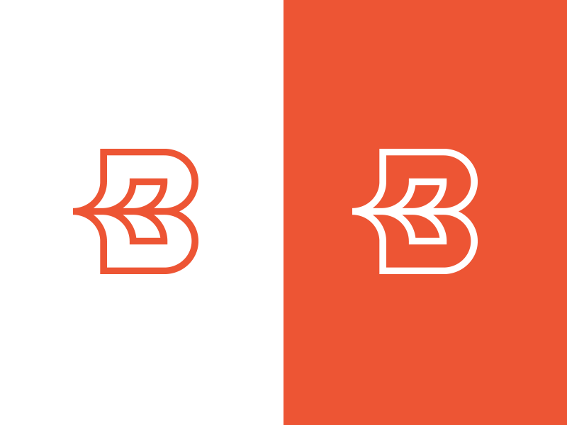 B For Book By Jeroen Van Eerden On Dribbble