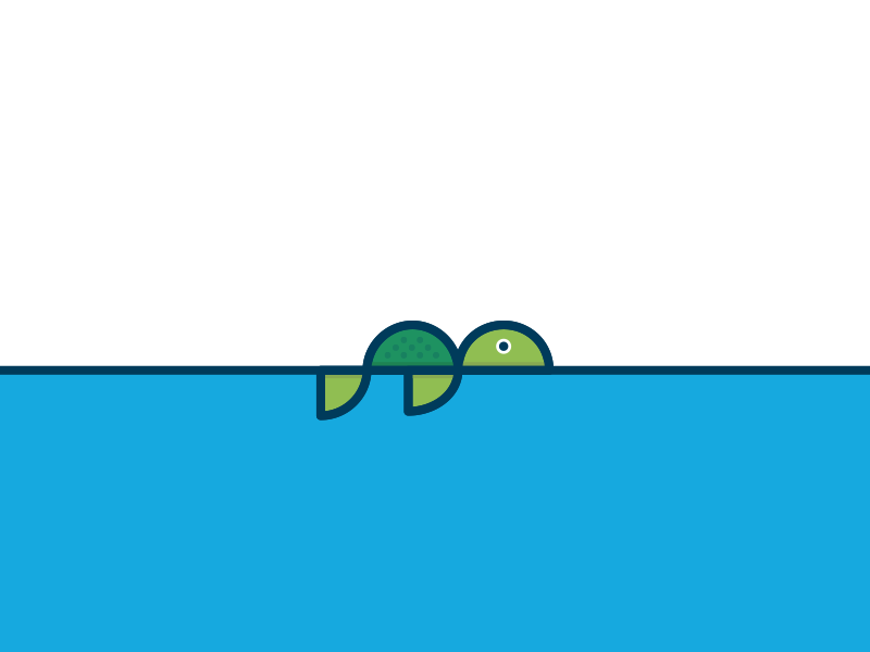 Turtle lost404
