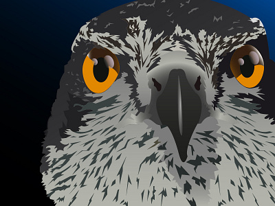 The Watcher... bird fauna forest illustration illustrator vectors wild
