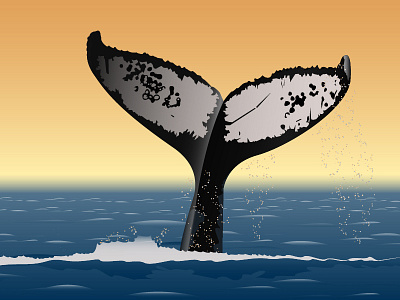 Wings!! fauna illustration illustrator sea vectors whale wild