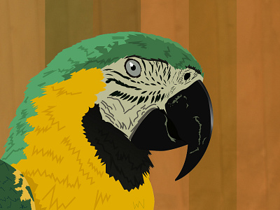 Hello Parrot!!! bird fauna forest illustration illustrator vectors wild