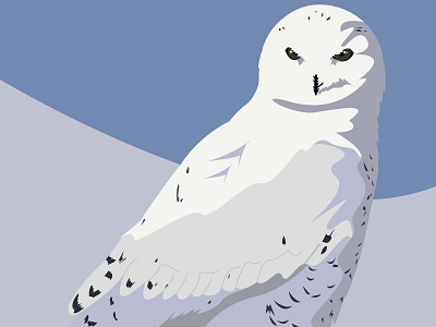 Artic Owl... bird fauna forest illustration illustrator vectors wild