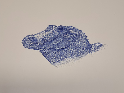 Alligator Dip Pen Drawing
