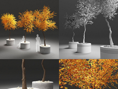 3d Autumn trees 3d autodesk models renders trees