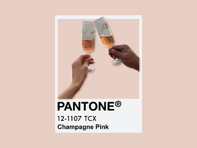 Champagne Pink adobe art clean concept design digital art edit flat graphic graphic design icon illustration illustrator minimal modern photoshop pink poster simple vector