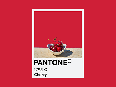 Cherry art branding clean concept creative design flat food graphic graphic design icon illustration illustrator minimal photoshop poster red simple typography vector