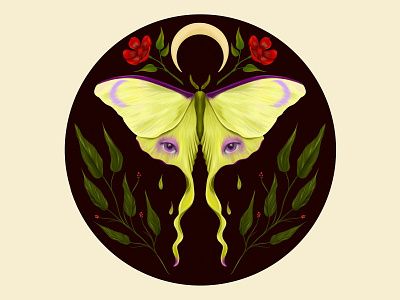 Luna Moth Illustration 🌙