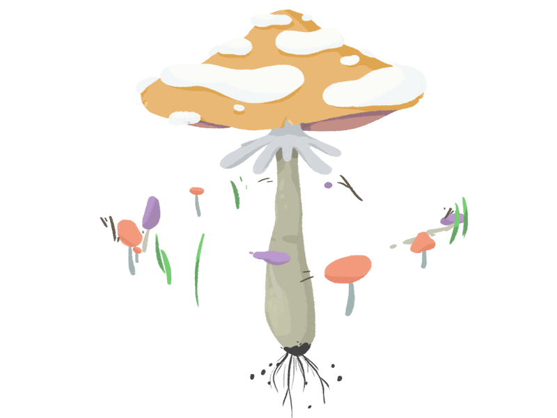 Spin animation cartoon loop motion mushroom zutto