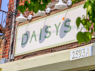 Daisy's Juice Bar & Cafe | Signage branding design environmental graphics signage