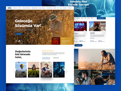 Concept Landing Page for Anadolu Efes Kurumsal burak canpolat dec85 design interface mobile ux web