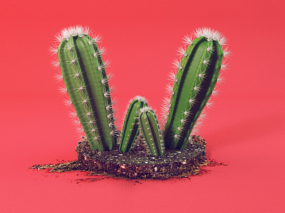 W c4d cactus cinema4d render w