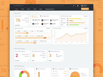 Pilots Management Tool