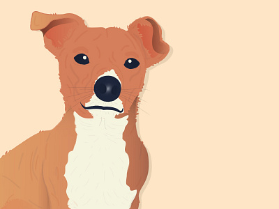 🐺 brush cheeky dog eve face hairy home illustrator jack russell pet portrait