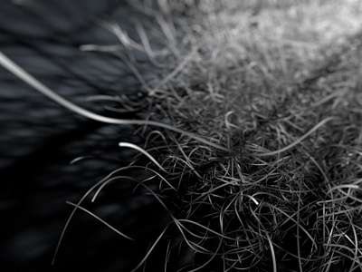 Fibers tech study 3d c4d hair