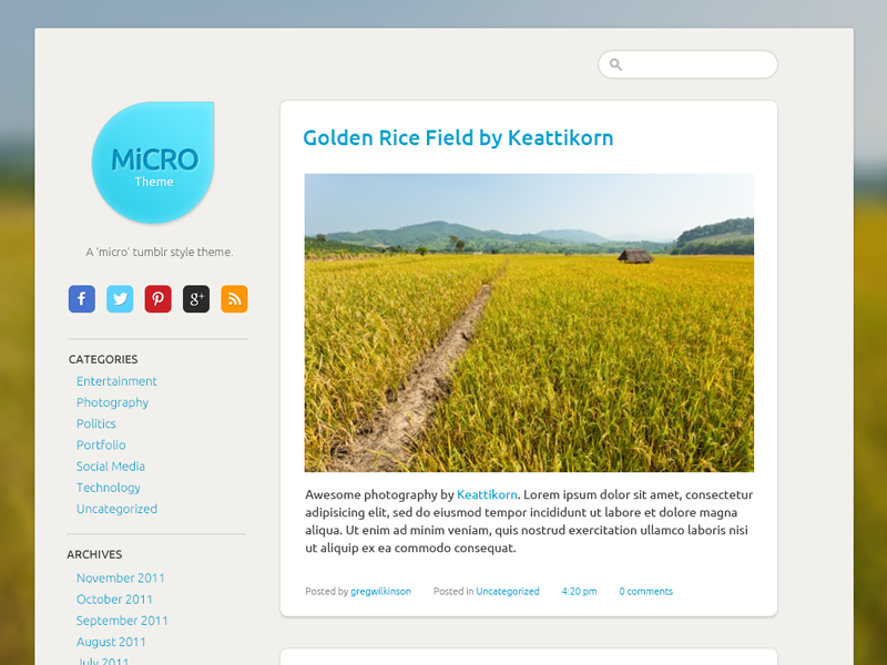 Free PSD: Micro Tumblr Theme micro theme tumblr blog flat ui design golden rice