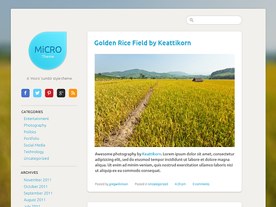 Free PSD: Micro Tumblr Theme blog design flat golden micro rice theme tumblr ui