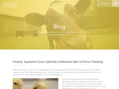 Mercy for Animals Blog blog clean donate responsive ui