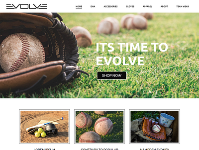 evolvebaseball design theme design webdesign website design websites wordpress design