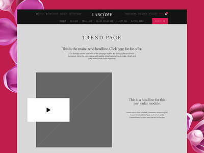 Lancome UX framework interactive product design ui user experience ux web wireframe