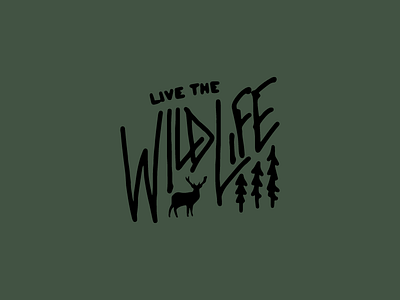 Live The Wild Life deer wild life wildlife