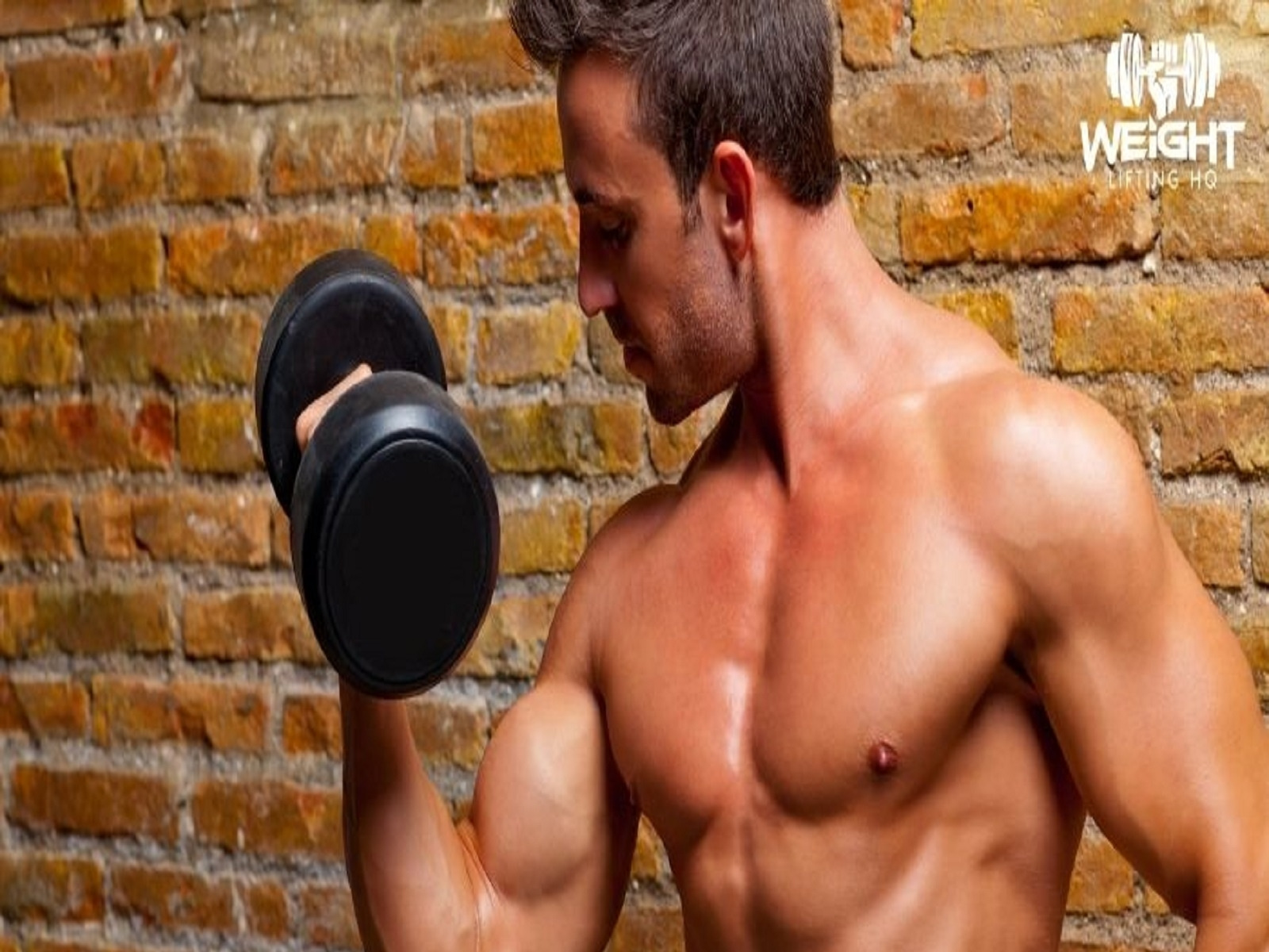 Best Budget Weight Lifting Equipment for 2021 Weight Lifting by