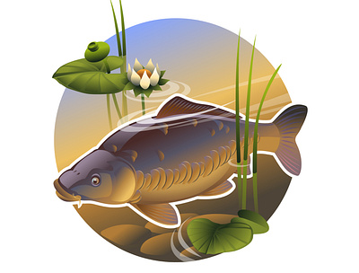 Сarp in shallow water carp illustration nature shallow water vector water water lilies