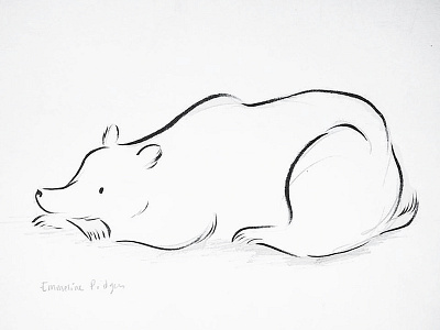 Bear Sketch animals bear bears drawing illustration ink