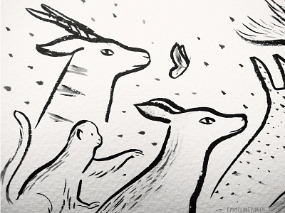 Animals animals drawing illustration ink