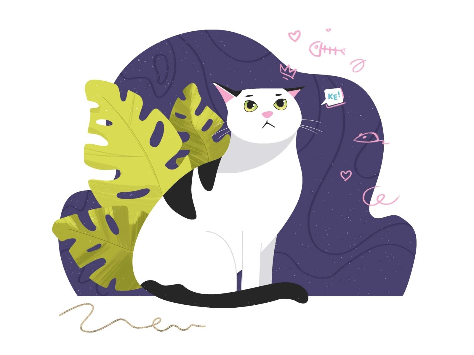 Parsley the Cat by Patrycja Półtorak on Dribbble